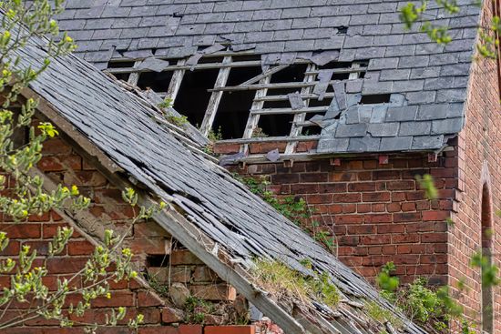 Housing disrepair claims